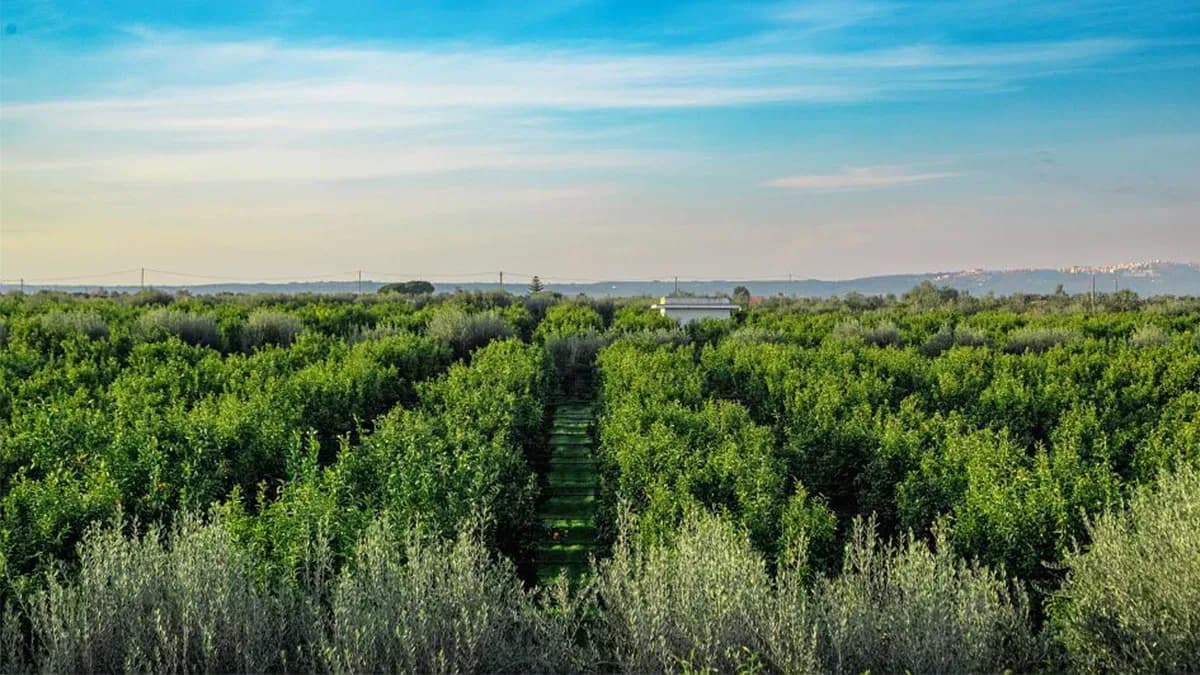 TUI Care Foundation launches TUI Field to Fork Puglia